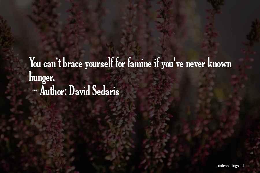 Brace Yourself Quotes By David Sedaris