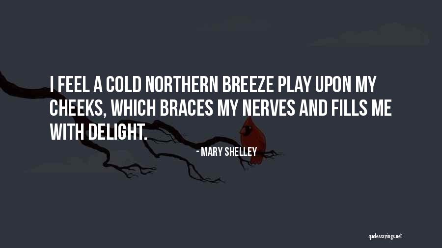 Braces Quotes By Mary Shelley