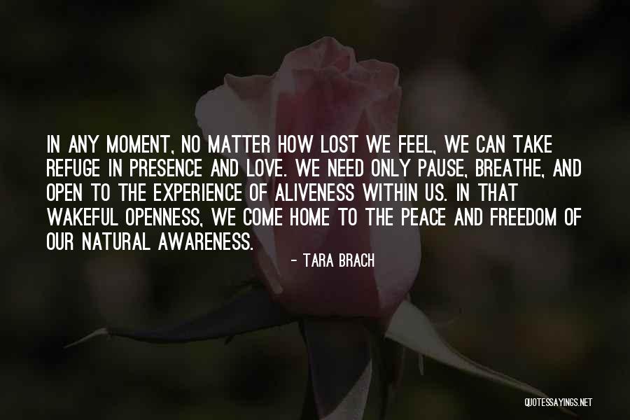 Brach Quotes By Tara Brach Brach Quotes By Tara Brach
