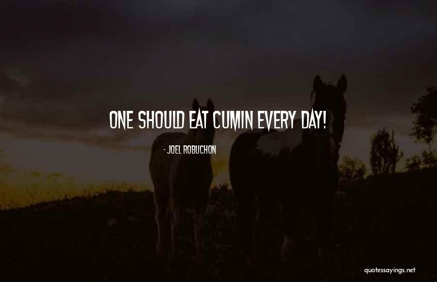 Brachelle Beauty Quotes By Joel Robuchon Brachelle Beauty Quotes By Joel Robuchon