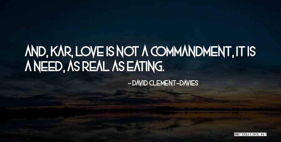 Brachfeld Siegfried Quotes By David Clement-Davies