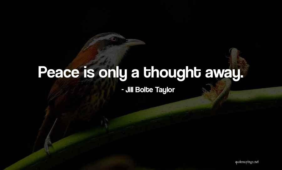 Brachioplasty Quotes By Jill Bolte Taylor Brachioplasty Quotes By Jill Bolte Taylor