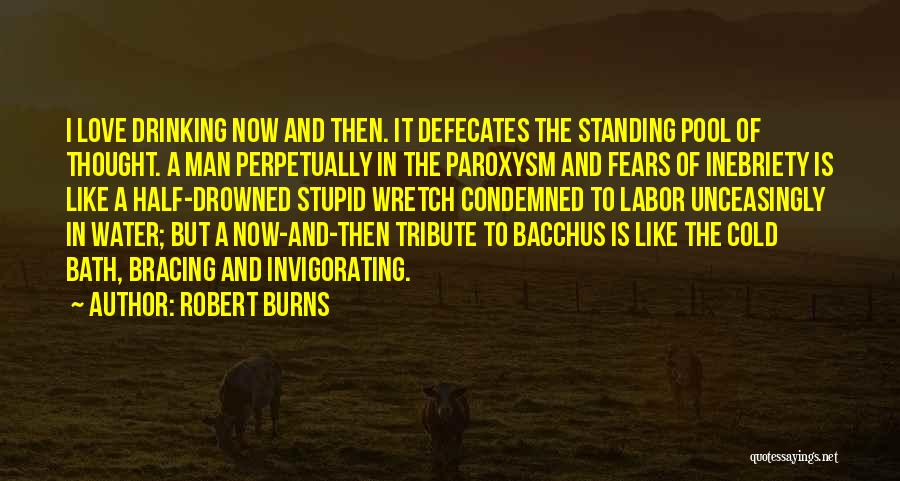 Bracing Quotes By Robert Burns