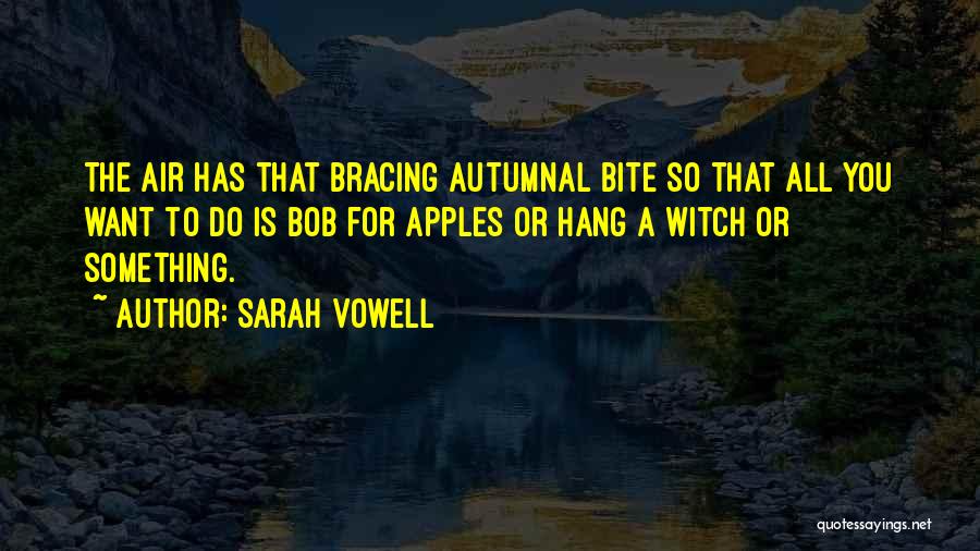 Bracing Quotes By Sarah Vowell