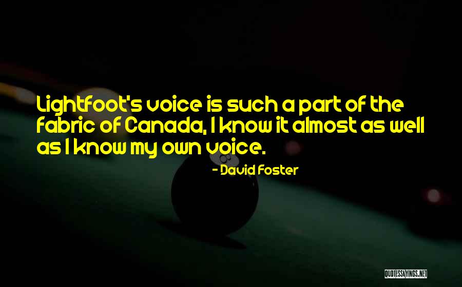 Bracito Loco Quotes By David Foster Bracito Loco Quotes By David Foster