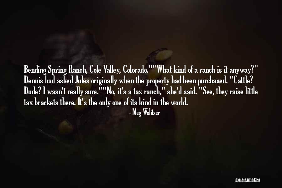 Brackets Within Quotes By Meg Wolitzer Brackets Within Quotes By Meg Wolitzer