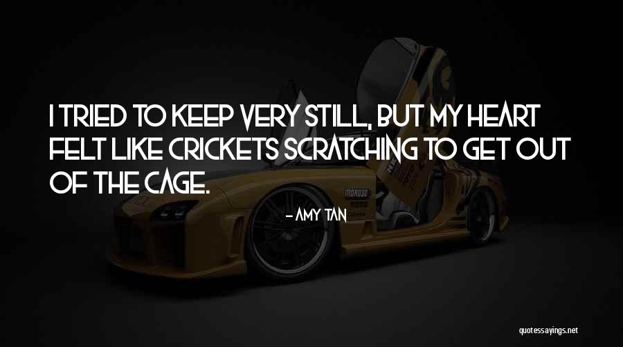 Brackify Quotes By Amy Tan Brackify Quotes By Amy Tan