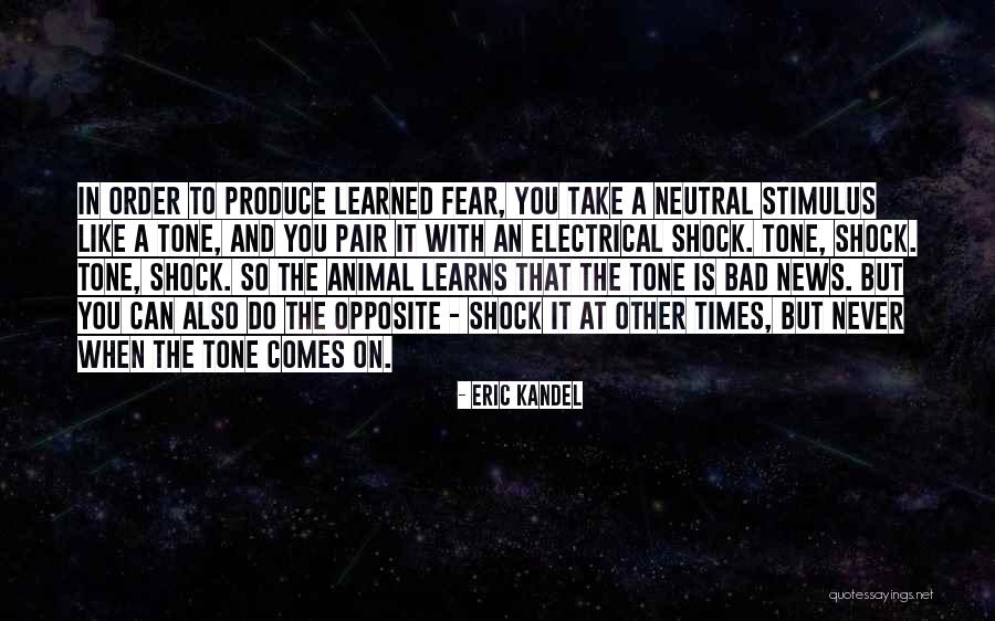 Brackin Wholesale Quotes By Eric Kandel Brackin Wholesale Quotes By Eric Kandel