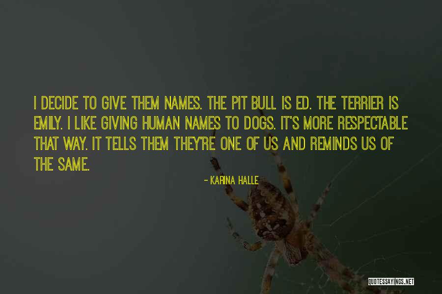 Brackish Ties Quotes By Karina Halle Brackish Ties Quotes By Karina Halle