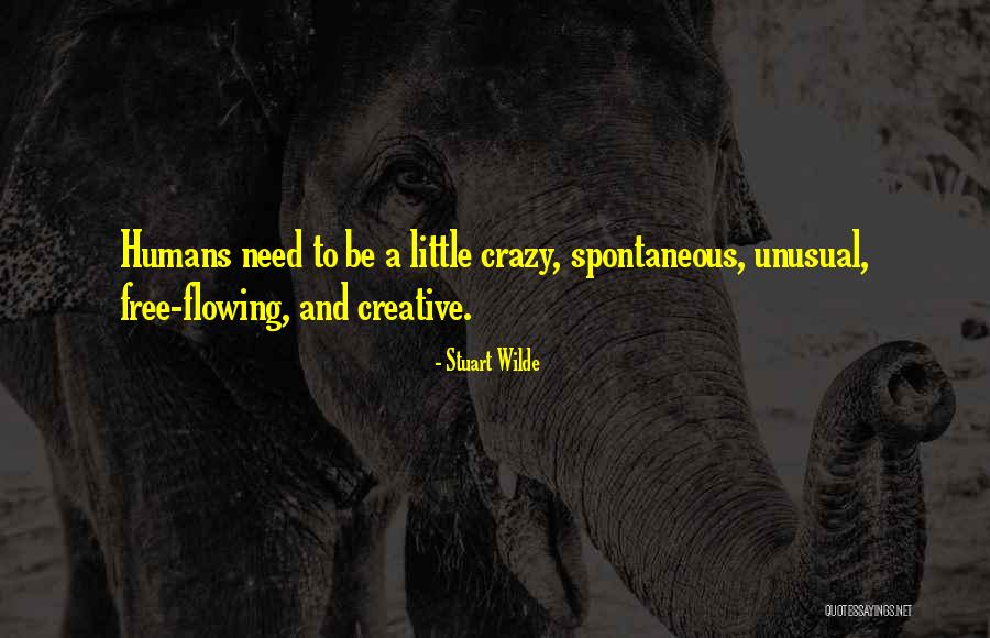 Brackmann Medical Quotes By Stuart Wilde Brackmann Medical Quotes By Stuart Wilde