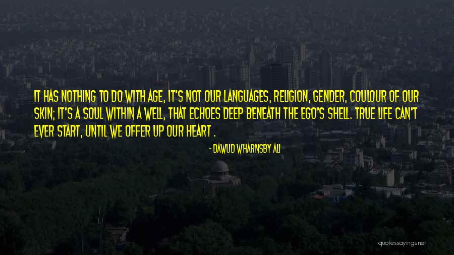 Brad Castleberry Quotes By Dawud Wharnsby Ali Brad Castleberry Quotes By Dawud Wharnsby Ali