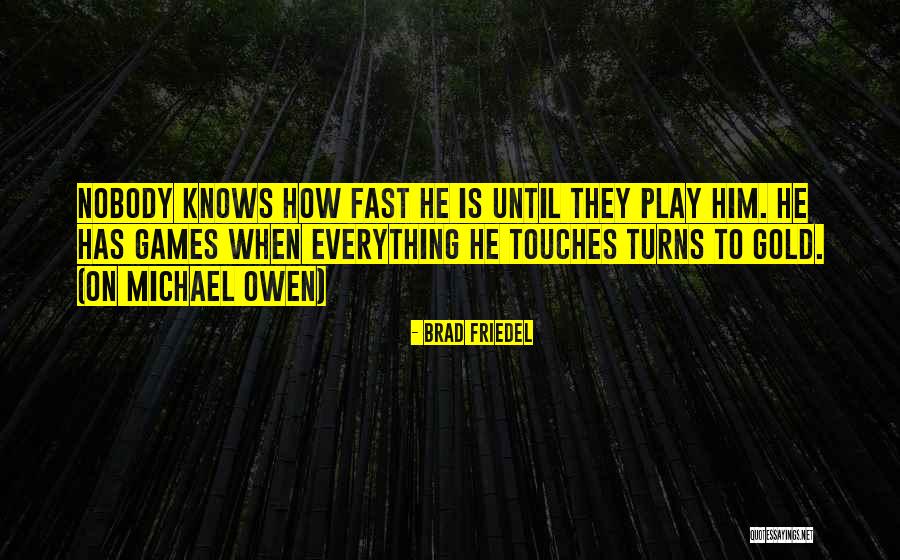 Brad Friedel Quotes 838753 Brad Friedel Quotes 838753