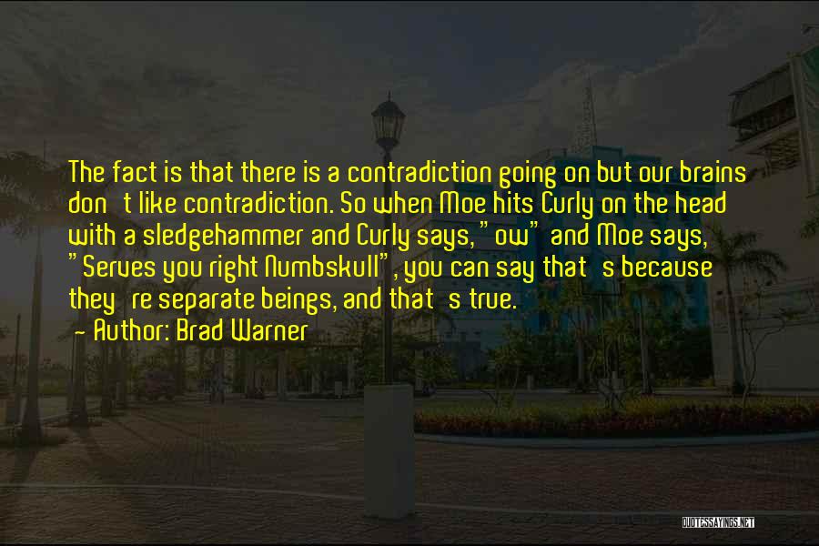 Brad Quotes By Brad Warner