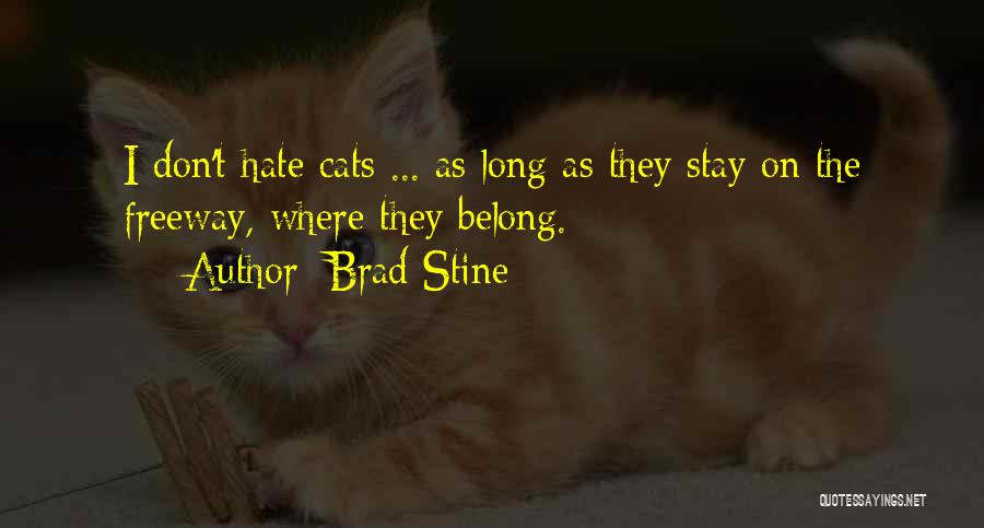 Brad Stine Quotes 1595037