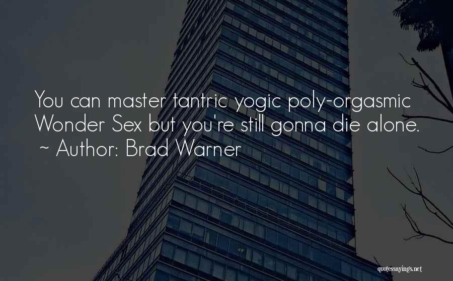 Brad Warner Quotes 1342048