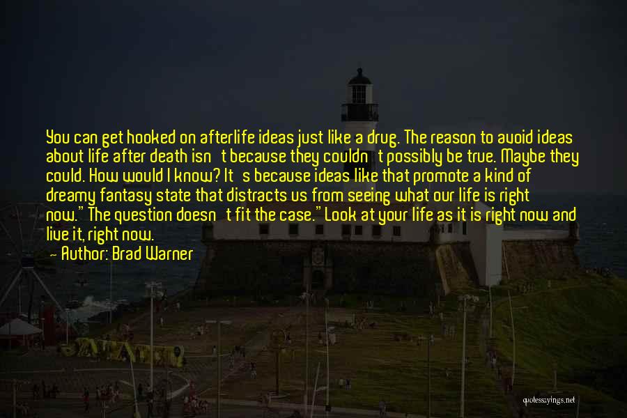 Brad Warner Quotes 1415665