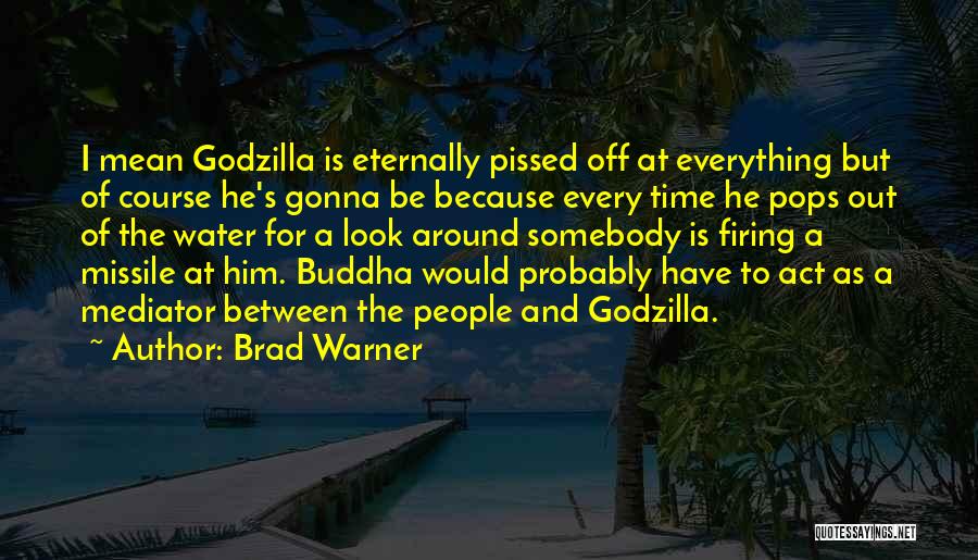 Brad Warner Quotes 617231