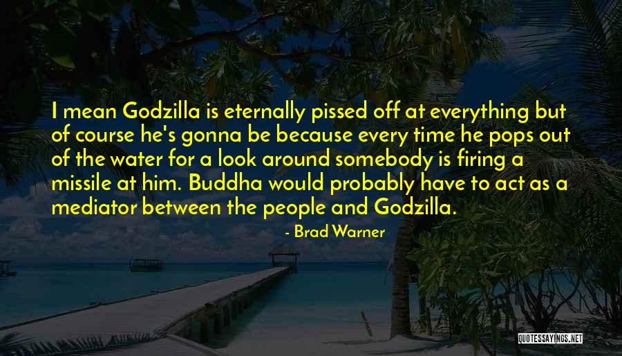 Brad Warner Quotes 617231 Brad Warner Quotes 617231