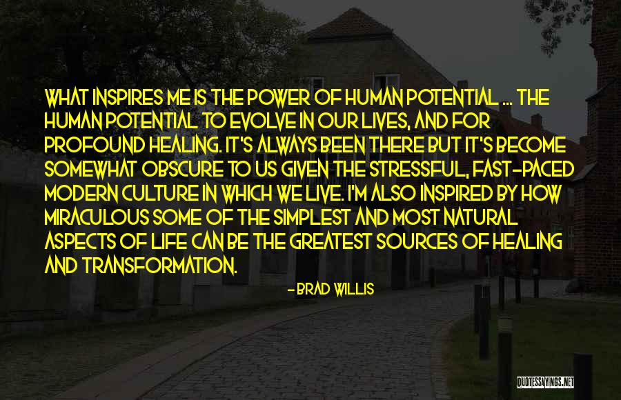 Brad Willis Quotes 133596 Brad Willis Quotes 133596