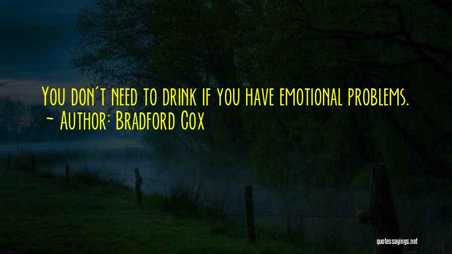 Bradford Cox Quotes 360897