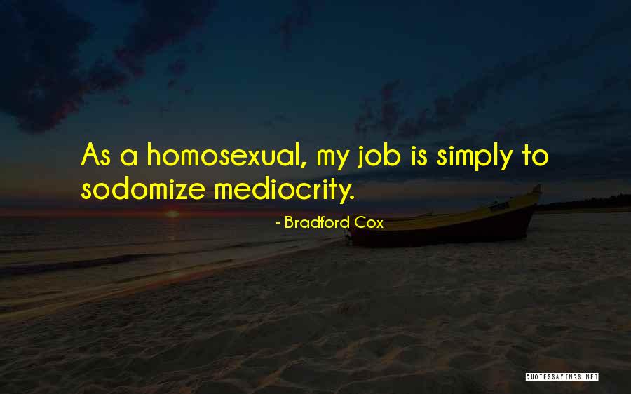 Bradford Cox Quotes 800805