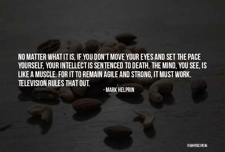Bradfords Building Quotes By Mark Helprin Bradfords Building Quotes By Mark Helprin