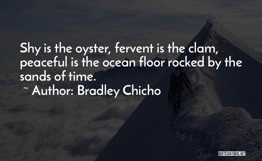 Bradley Chicho Quotes 1677637