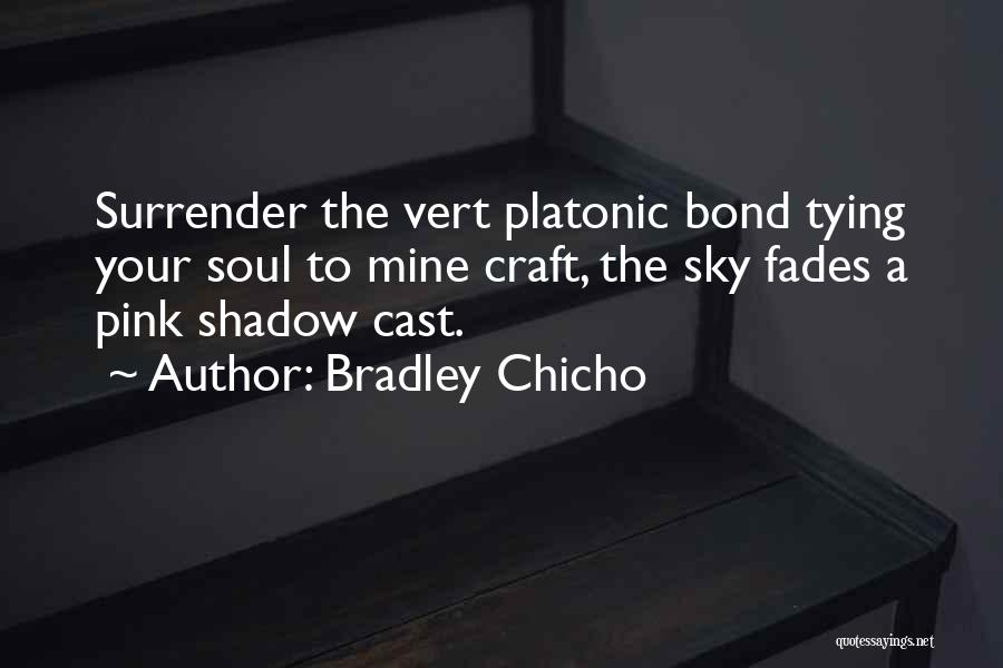 Bradley Chicho Quotes 2068027