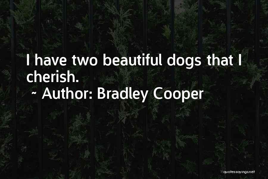 Bradley Cooper Quotes 607493