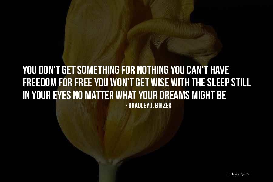 Bradley J. Birzer Quotes 396083