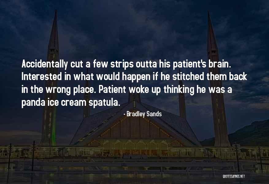 Bradley Sands Quotes 1446434