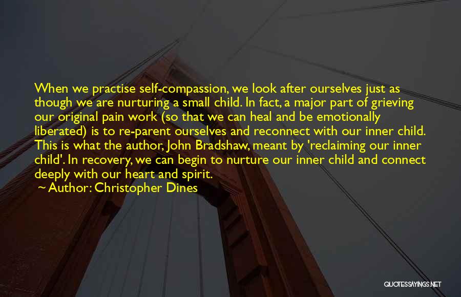 Bradshaw Quotes By Christopher Dines