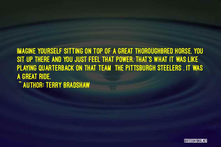 Bradshaw Quotes By Terry Bradshaw