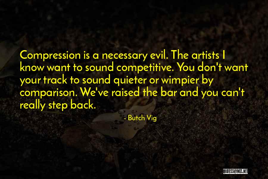 Braedon Franz Quotes By Butch Vig Braedon Franz Quotes By Butch Vig