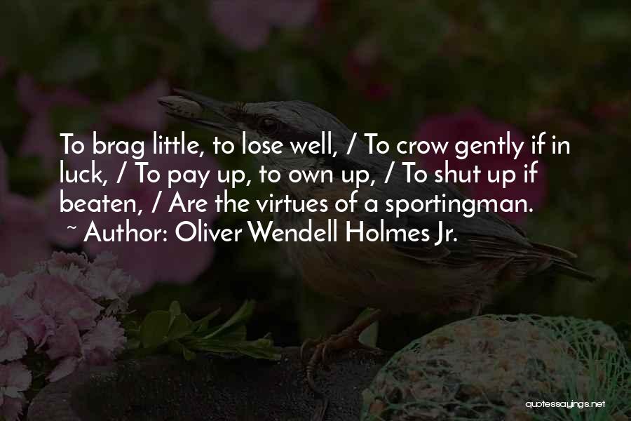 Brag Quotes By Oliver Wendell Holmes Jr.