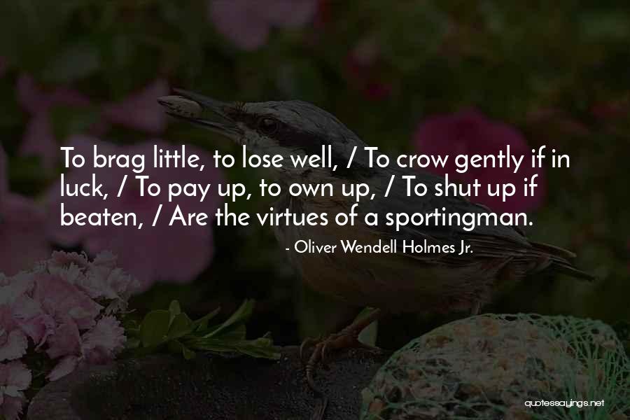 Brag Quotes By Oliver Wendell Holmes Jr.