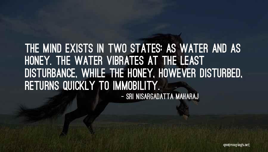 Braganca Flores Quotes By Sri Nisargadatta Maharaj Braganca Flores Quotes By Sri Nisargadatta Maharaj