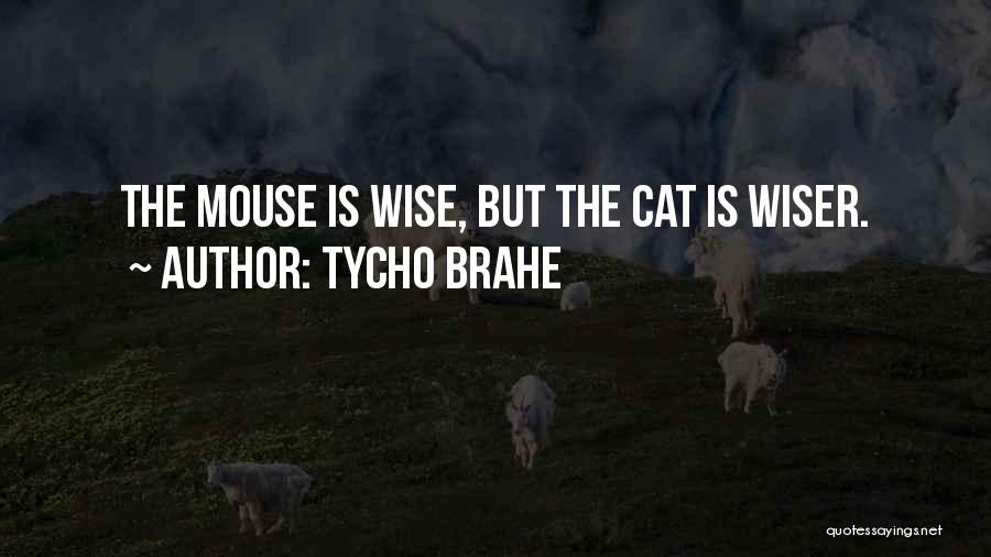 Brahe Quotes By Tycho Brahe