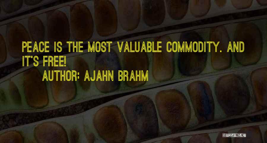 Brahm Quotes By Ajahn Brahm