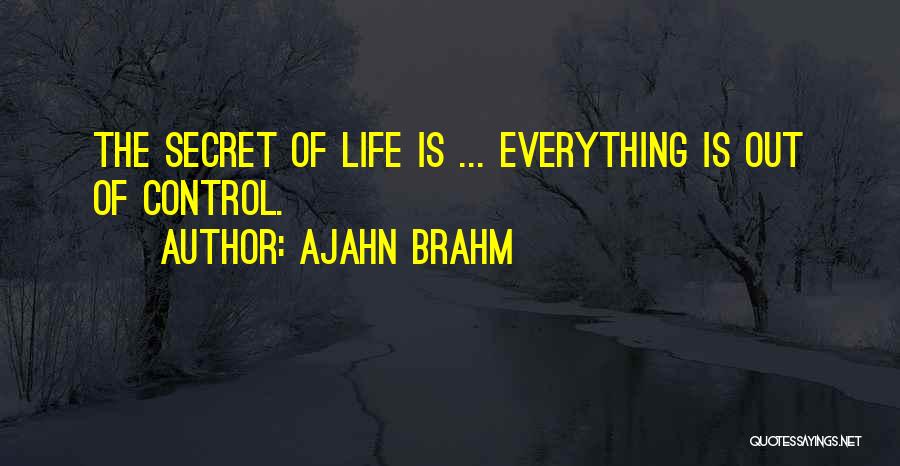 Brahm Quotes By Ajahn Brahm