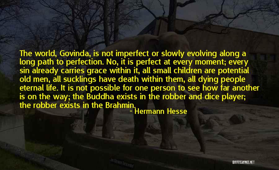 Brahmin Quotes By Hermann Hesse