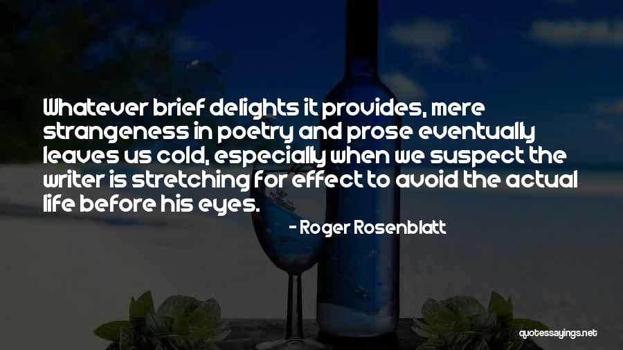 Braian Angola Quotes By Roger Rosenblatt Braian Angola Quotes By Roger Rosenblatt