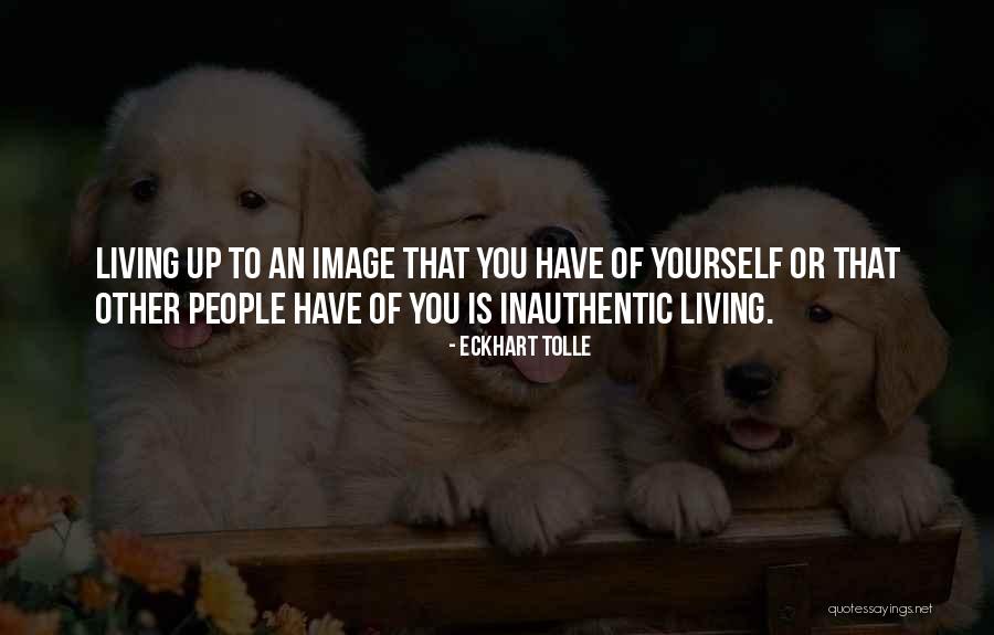 Braichei Quotes By Eckhart Tolle Braichei Quotes By Eckhart Tolle