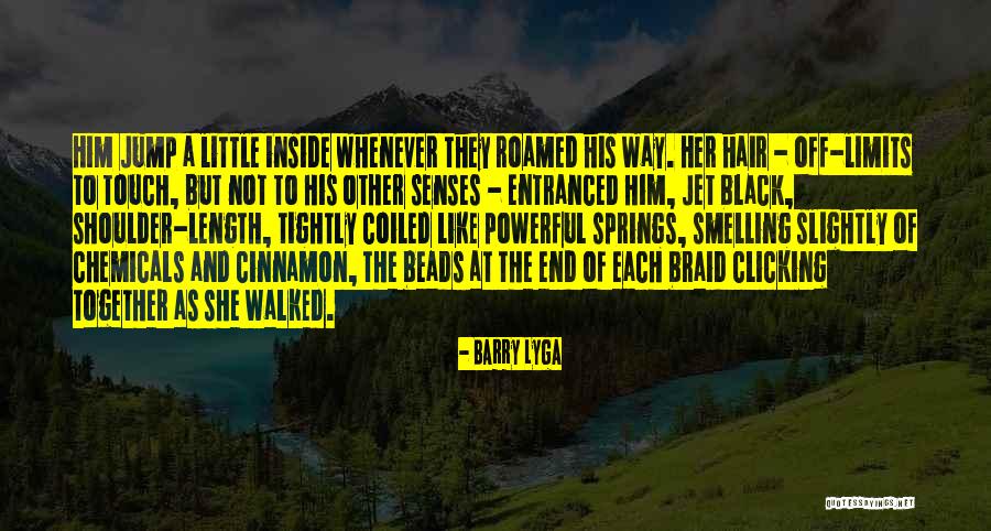 Braid Hair Quotes By Barry Lyga Braid Hair Quotes By Barry Lyga