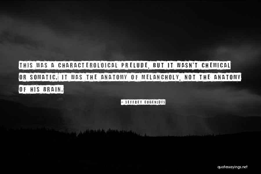 Brain Anatomy Quotes By Jeffrey Eugenides Brain Anatomy Quotes By Jeffrey Eugenides