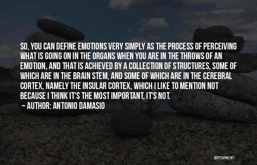 Brain And Emotions Quotes By Antonio Damasio