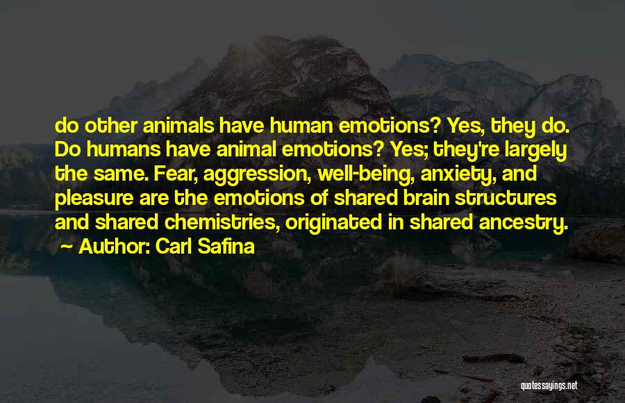 Brain And Emotions Quotes By Carl Safina