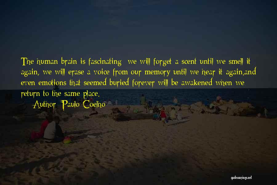 Brain And Emotions Quotes By Paulo Coelho