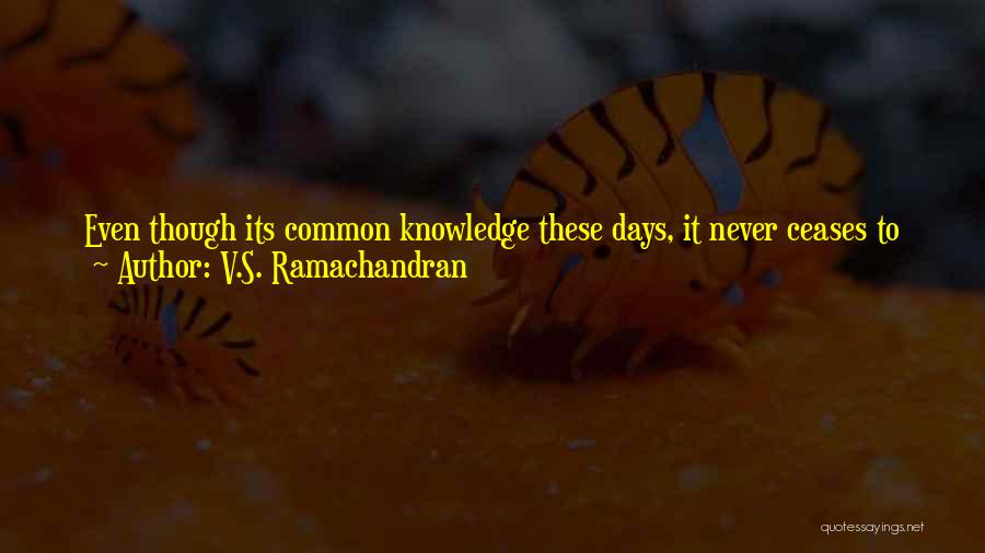 Brain And Emotions Quotes By V.S. Ramachandran