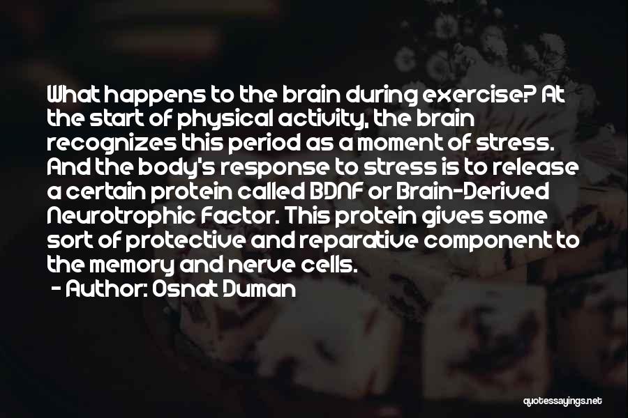 Brain And Exercise Quotes By Osnat Duman